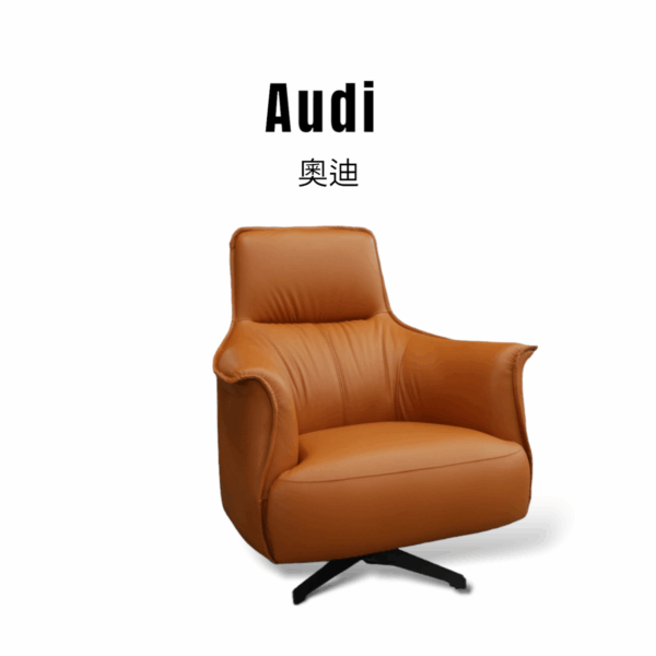 奧迪 Audi